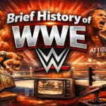 Brief History Of WWE