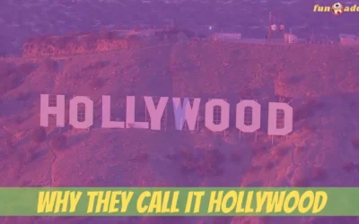 Why They Call It Hollywood