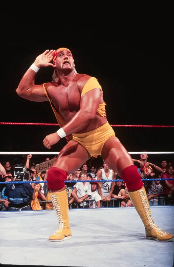 Hulk Hogan